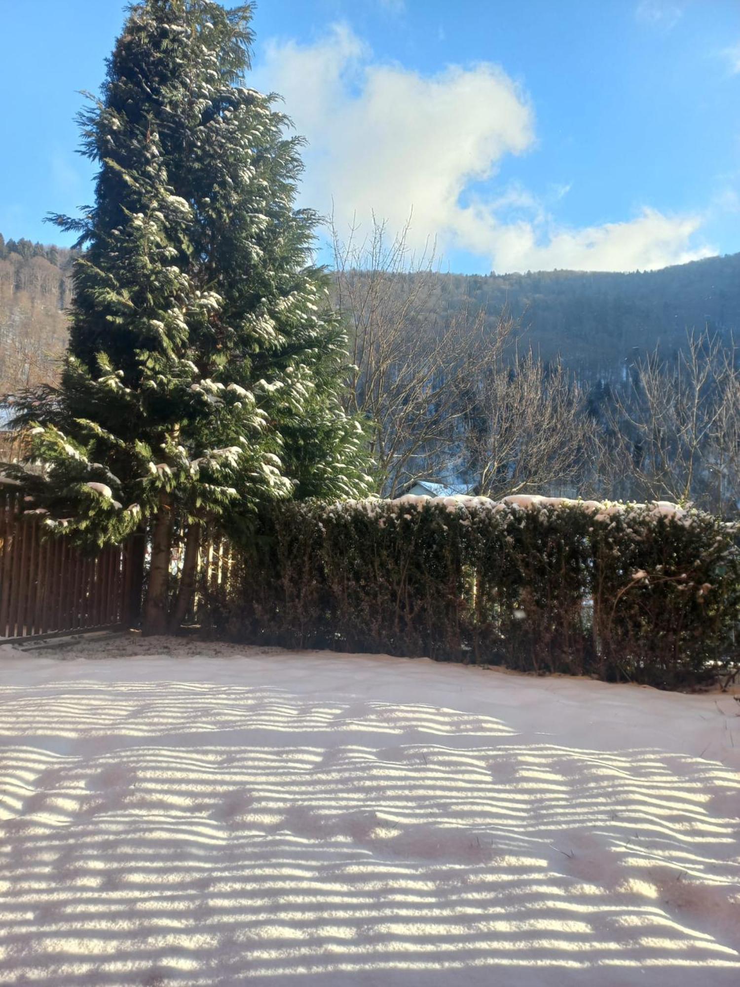 Belleview Garden Studio Apartment Sinaia Exterior photo